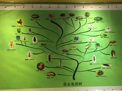 -上海昆虫博物馆