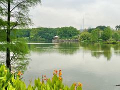 -海珠湖公园