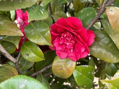 -千龙湖生态旅游度假区