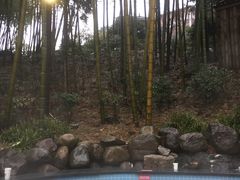 -江南天池高山汤泉城