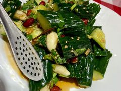 胡椒油黄瓜-西贝莜面村(上海百联西郊店)