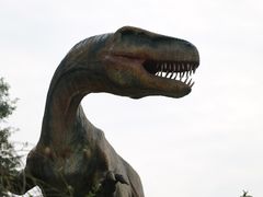 -自贡恐龙博物馆