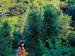 -火炉山森林公园