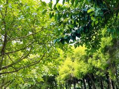 -深圳湾公园(南山区)