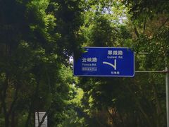 -铁山坪森林公园