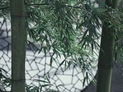 -知美术馆