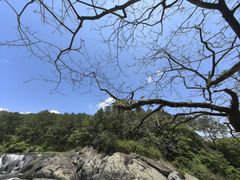 -九鲤湖风景区