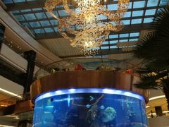 -OPEN開全日自助餐厅·牛肉火锅·海鲜(佛山希尔顿酒店)