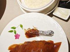 -圆苑(静安寺店)