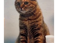 -肯德基(建华店)