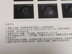 -瑞派·关忠动物医院·猫专科·犬专科(三环新城店)