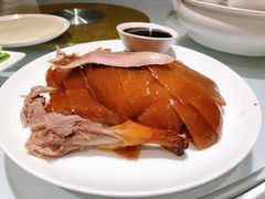 -洋洋中餐馆·SINCE 1997(信投店)