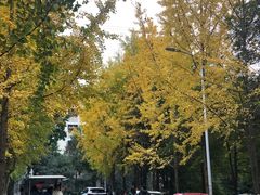-重庆工商大学(南岸校区)