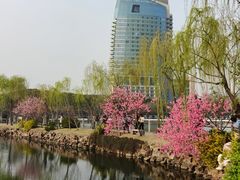 -无锡蠡湖国家湿地公园-蠡园