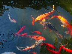 -韶山毛泽东同志故居