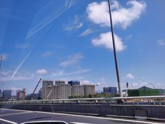 -大锅强·蒸海鲜青岛菜(吾悦广场店)