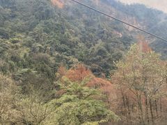 -青城山