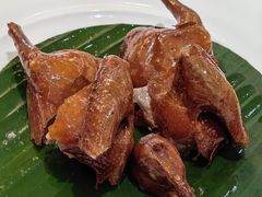 脆皮乳鸽-临家小院·潮汕菜·商务宴请·点心(白石洲店)