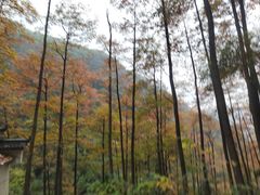 -藏龙百瀑风景区