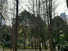 -锦江宾馆-花园餐厅