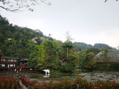 -野象谷景区