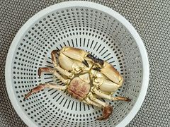 -醉壹号海鲜大排档·老厦门特色菜(厦门美食地标店)
