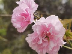-杭州来福士中心