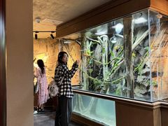 -帕帕拉兹宠物(亚洲旗舰店)