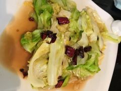 炝炒圆白菜-红京鱼(西坝河店)