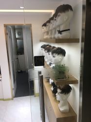 -发饰美男士增发补发假发定制店