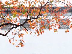 -江苏省美术馆(长江路新馆)