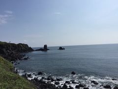 -涉地可支