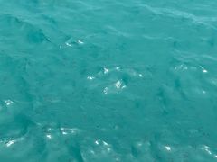 -亚龙湾海底世界