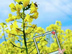 -白鹭湾湿地公园