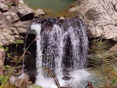 -广州白江湖森林公园