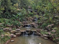 -南海湾森林生态园