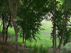 -绿堤公园