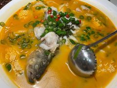 鲜椒豆花鲈鱼-川味堂·四川豆花(八卦岭店)