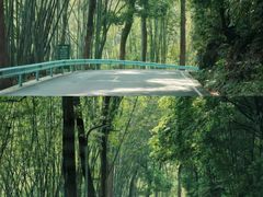 -蜀南竹海景区