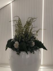 -广州健丽·去眼袋医疗美容机构