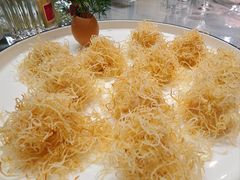 -丁老爷子苏香圆