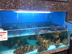 -王庄阿咪海鲜大排档(象园店)