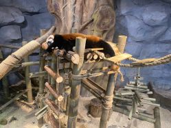 -Zoolung Zoolung动物主题公园(海信广场店)