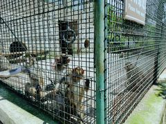 -南京金牛湖风景区