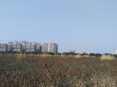 -皇粮浜公园