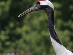 -沈阳森林动物园