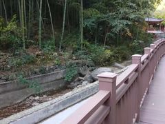-众神白水涧景区