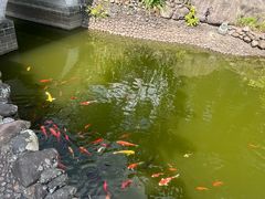-海南文笔峰盘古文化旅游区