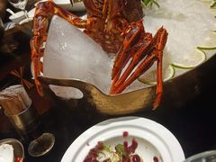 -半岛翡丽海鲜自助餐厅(观风亭店)