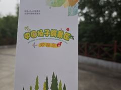 -中国扬子鳄村